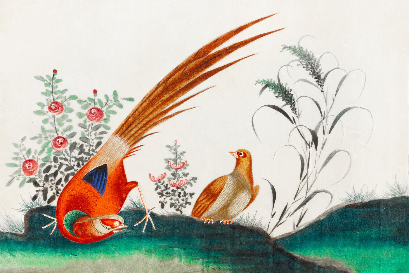 Chinese painting featuring two birds among flowers (ca.1800–1899) from the Miriam and Ira D. Wallach Division of Art,... Chinese painting featuring two birds among flowers (ca.1800–1899) from the Miriam and Ira D. Wallach Division of Art,...