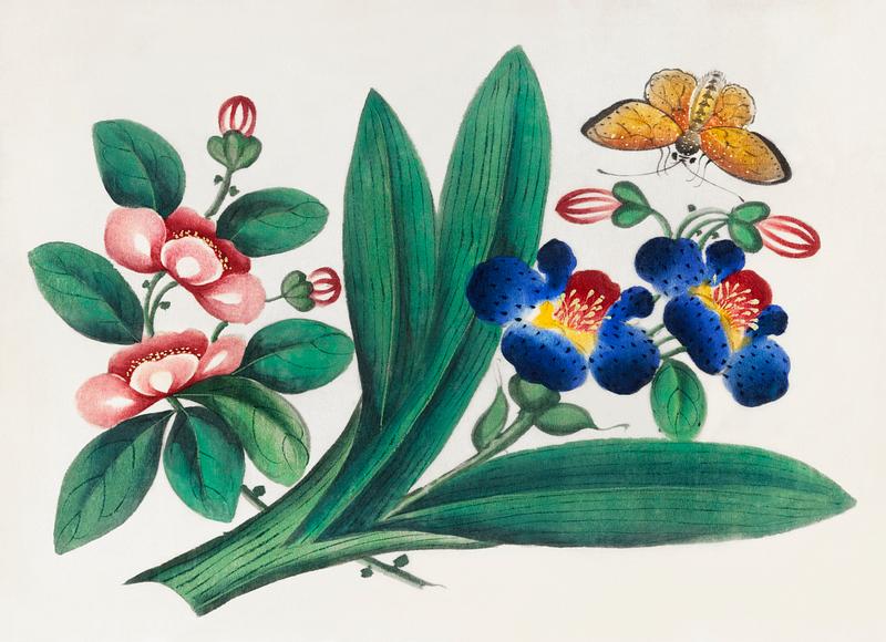 Chinese painting featuring flowers and a butterfly (ca.1800–1899) from the Miriam and Ira D. Wallach Division of Art, Prints and Photographs: Art & Architecture Collection. Original from the New York Public Library. Digitally enhanced by rawpixel. Chinese painting featuring flowers and a butterfly (ca.1800–1899) from the Miriam and Ira D. Wallach Division of Art…