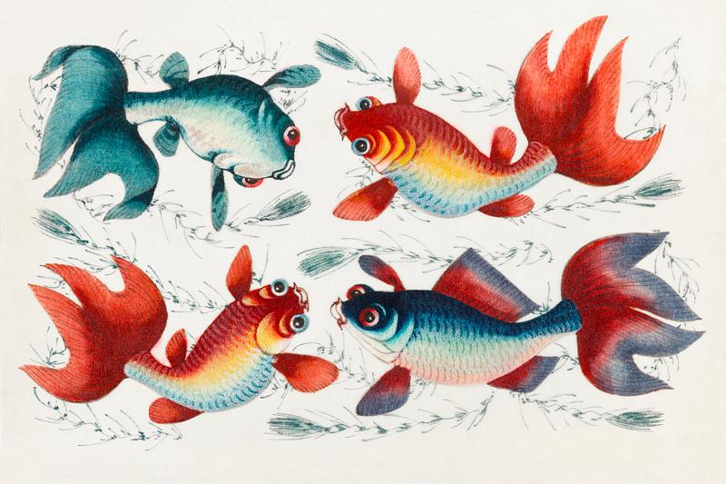 Chinese painting featuring two gold and two silver fish (ca.1800–1899) from the Miriam and Ira D. Wallach Division of Art, Prints and Photographs: Art & Architecture Collection. Original from the New York Public Library. Digitally enhanced by rawpixel. Chinese painting featuring two gold and two silver fish (ca.1800–1899) from the Miriam and Ira D. Wallach Division of…