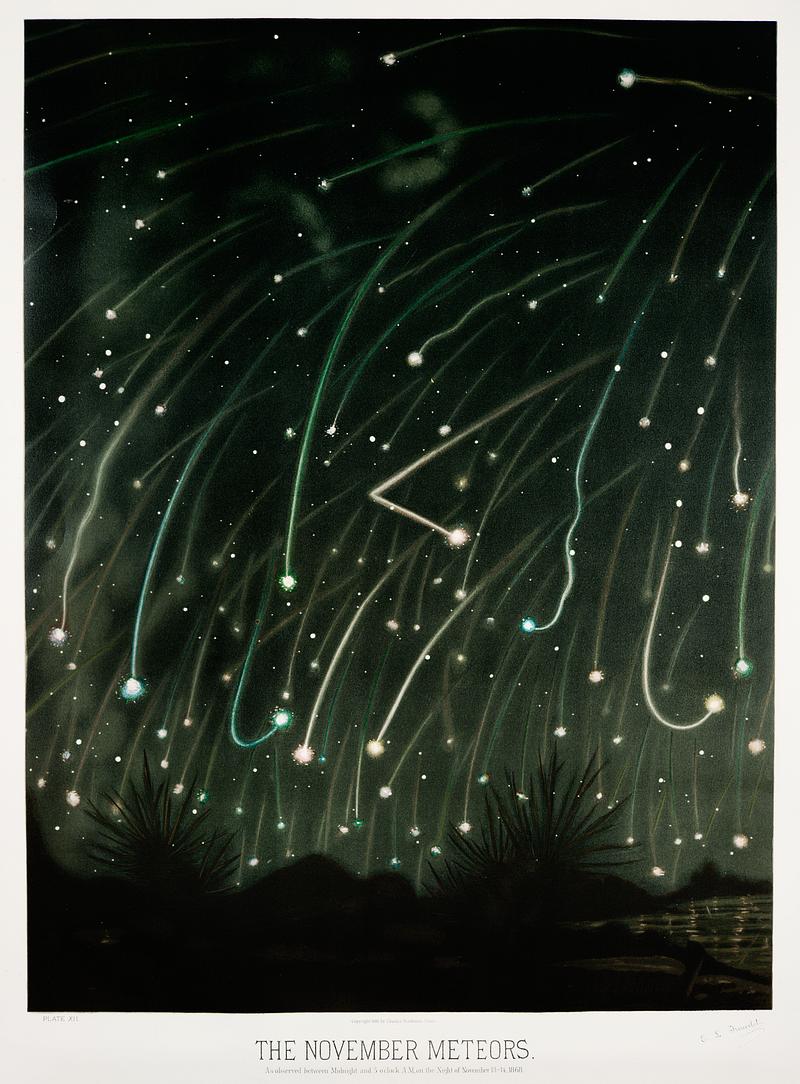 The November meteors from the Trouvelot
astronomical drawings (1881-1882) by E. L. Trouvelot (1827-1895) The November meteors from the Trouvelot
astronomical drawings (1881-1882) by E. L. Trouvelot (1827-1895)