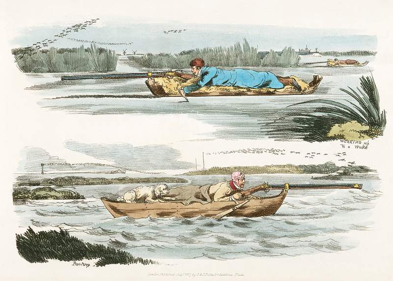 Illustration of duck flowing from Sporting Sketches (1817-1818) by Henry Alken (1784-1851). Original from The New York Public…