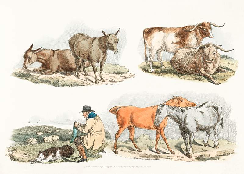 Illustration of knitting shepherd from Sporting Sketches (1817-1818) by Henry Alken (1784-1851). Original from The New York…