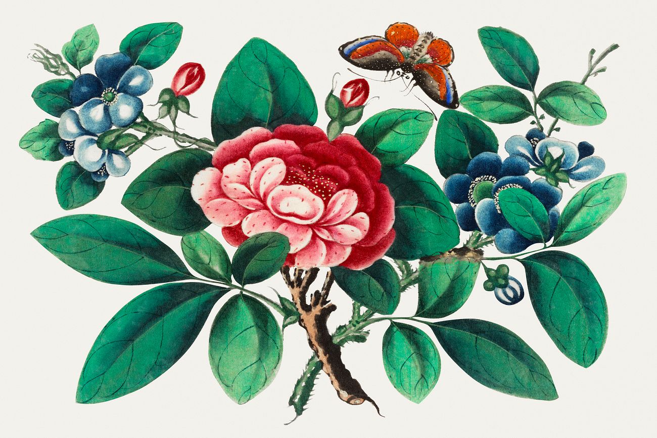 Chinese Painting Featuring Flowers And Butterfly Royalty Free Illustration 544895