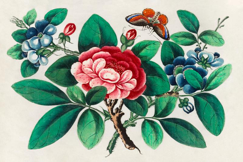 Chinese painting featuring flowers and butterfly (ca.1800–1899) from the Miriam and Ira D. Wallach Division of Art, Prints and Photographs: Art & Architecture Collection. Original from the New York Public Library. Digitally enhanced by rawpixel. Chinese painting featuring flowers and butterfly (ca.1800–1899) from the Miriam and Ira D. Wallach Division of Art…