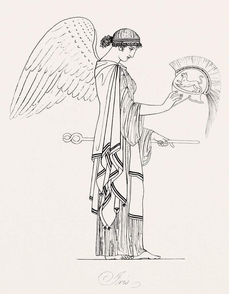 Iris from An illustration of the Egyptian, Grecian and Roman costumes by Thomas Baxter (1782–1821). Original from The…