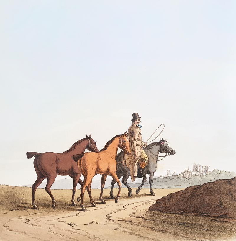 Illustration of the horse dealer from The Costume of Yorkshire (1814) by George Walker (1781-1856). Original from The New York Public Library. Digitally enhanced by rawpixel. Illustration of the horse dealer from The Costume of Yorkshire (1814) by George Walker (1781-1856). Original from The New…