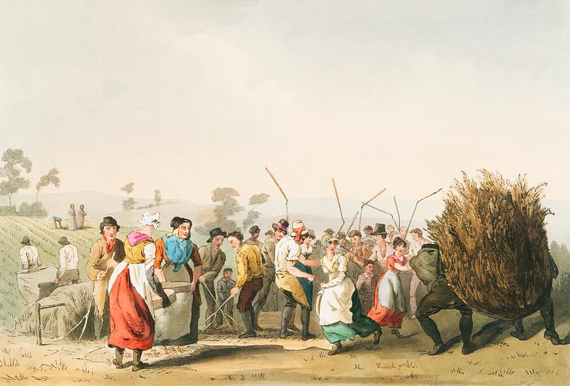 Illustration of rape threshing from The Costume of Yorkshire (1814) by George Walker (1781-1856). Original from The New York Public Library. Digitally enhanced by rawpixel. Illustration of rape threshing from The Costume of Yorkshire (1814) by George Walker (1781-1856). Original from The New York…