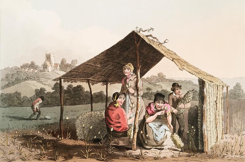 Illustration of teasel field from The Costume of Yorkshire (1814) by George Walker (1781-1856). Original from The New York Public Library. Digitally enhanced by rawpixel. Illustration of teasel field from The Costume of Yorkshire (1814) by George Walker (1781-1856). Original from The New York…