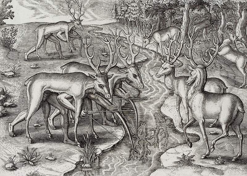Deer hunting illustration from Grand voyages (1596) by Theodor de Bry (1528-1598). Original from The New York Public Library.…