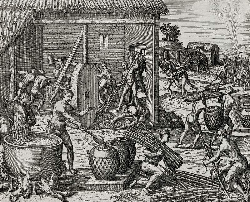 Local indians making sugar in America illustration from Grand voyages (1596) by Theodor de Bry (1528-1598). Original from The…