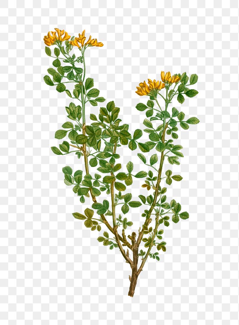 Search Free Stock Photos Psd Mockups Vectors Rawpixel