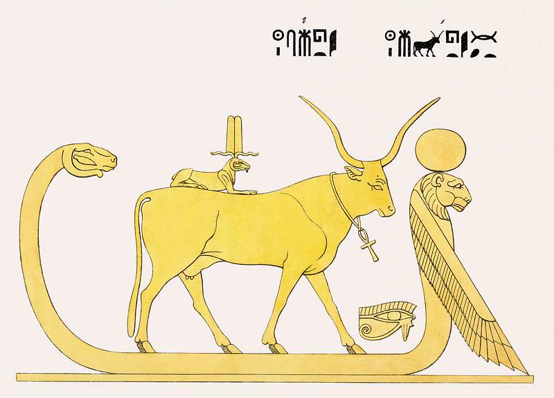 Apis illustration from Pantheon Egyptien (1823-1825) by Leon Jean Joseph Dubois (1780-1846). Original from The New York…