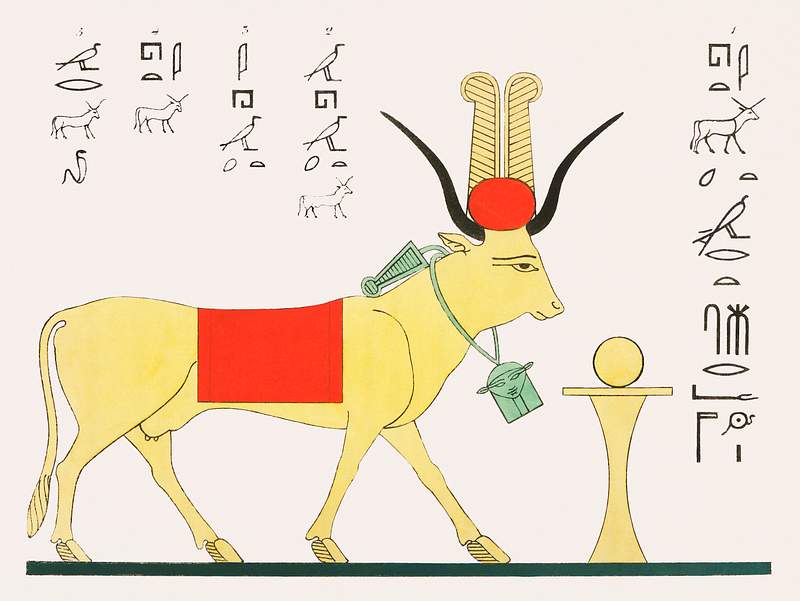 Apis illustration from Pantheon Egyptien (1823-1825) by Leon Jean Joseph Dubois (1780-1846). Original from The New York…