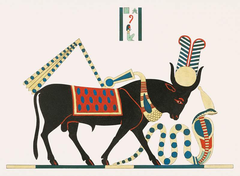 Apis illustration from Pantheon Egyptien (1823-1825) by Leon Jean Joseph Dubois (1780-1846). Original from The New York…