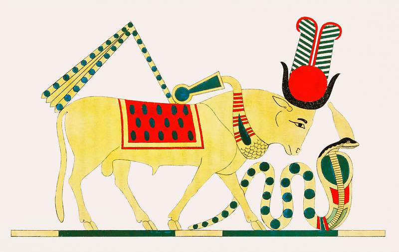 Mnevis illustration from Pantheon Egyptien (1823-1825) by Leon Jean Joseph Dubois (1780-1846). Original from The New York…