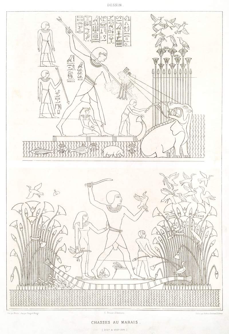 Swamp hunting from Histoire de l'art égyptien (1878) by Émile Prisse d'Avennes. Original from The New York…