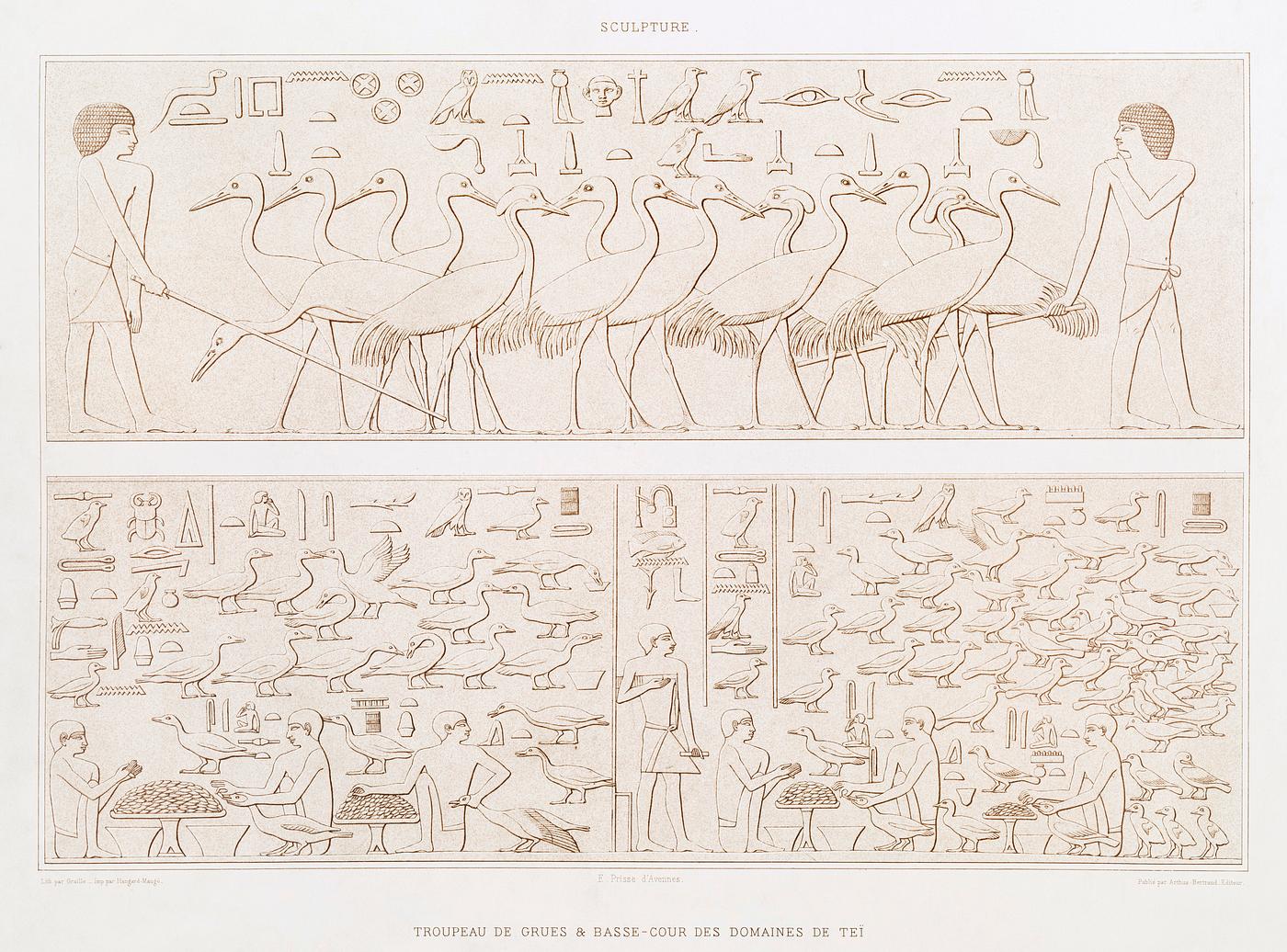 Herd of cranes & Barnyard in area of Tei from Histoire de l'art égyptien (1878) by Émile Prisse d'... Herd of cranes & Barnyard in area of Tei from Histoire de l'art égyptien (1878) by Émile Prisse d'...