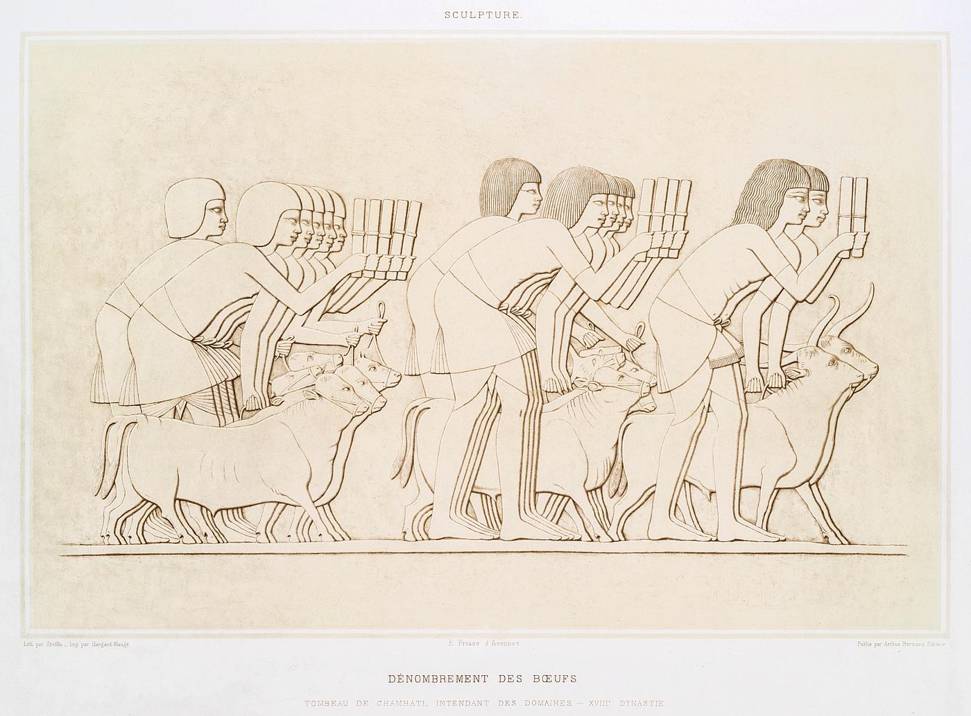 Cattle count from Histoire de l'art égyptien (1878) by Émile Prisse d'Avennes. Original from The New... Cattle count from Histoire de l'art égyptien (1878) by Émile Prisse d'Avennes. Original from The New...