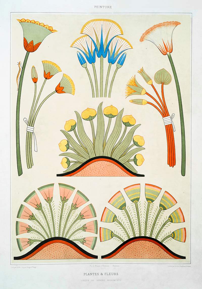 Plants & Flowers from Histoire de l'art égyptien (1878) by Émile Prisse d'Avennes. Original from The New York…