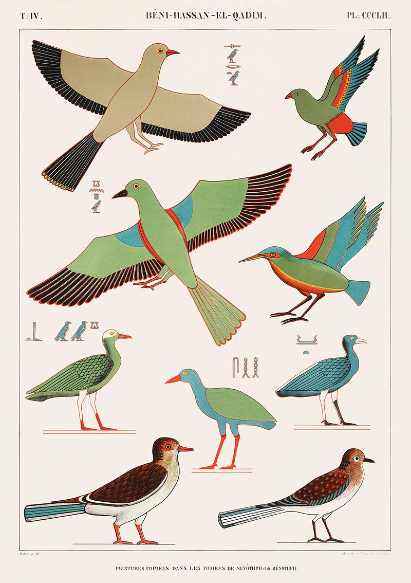 Copied paintings from the tombs of Nevoethph and Menothph from Monuments de l'Égypte et de la Nubie (1835–1845)…
