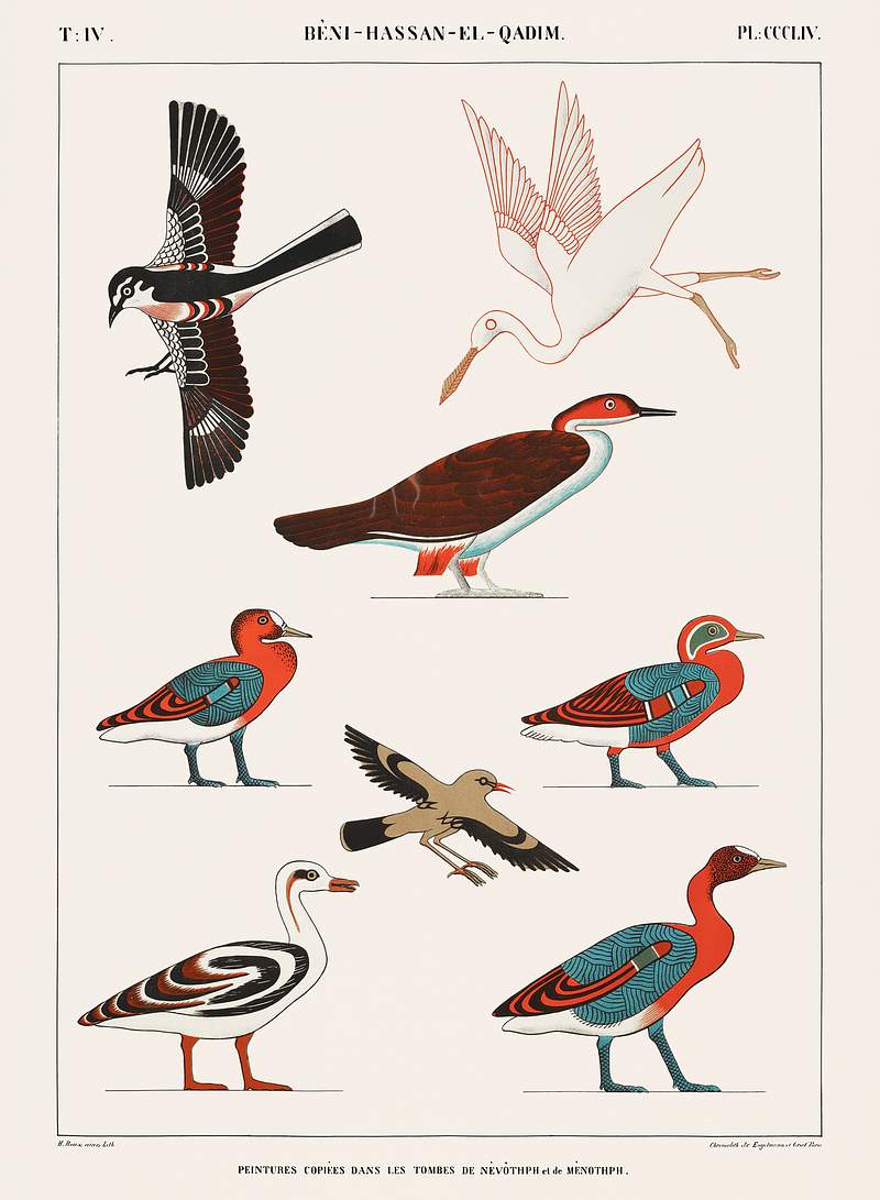 Copied paintings from the tombs of Nevoethph and Menothph from Monuments de l'Égypte et de la Nubie (1835–1845)…