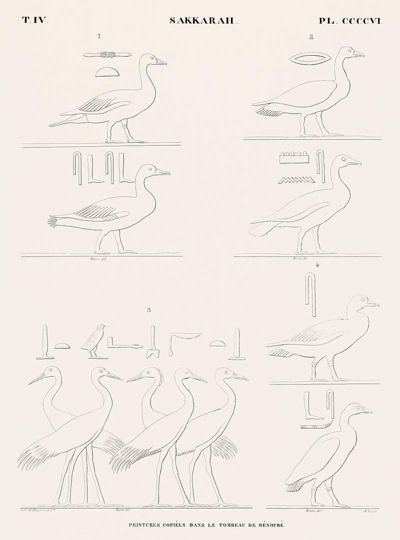 Paintings copied from the tomb of Ménofré from Monuments de l'Égypte et de la Nubie (1835–1845) by…