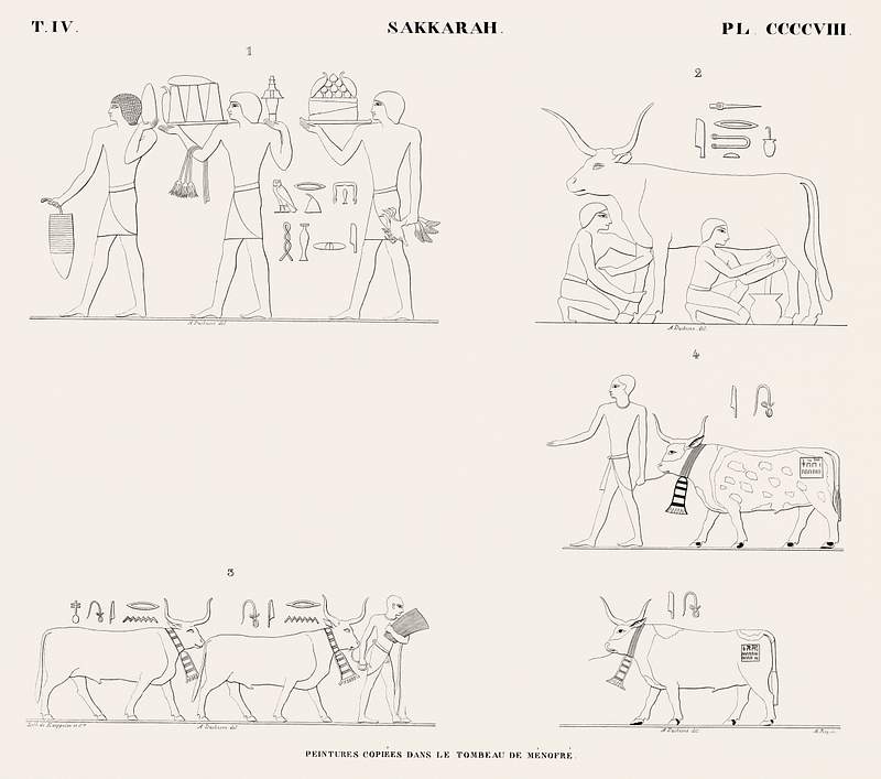 Paintings copied from the tomb of Ménofré from Monuments de l'Égypte et de la Nubie (1835–1845) by…
