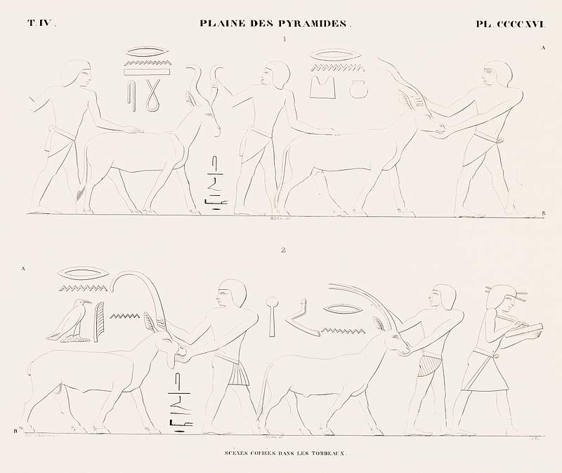 Scenes copied from the tombs from Monuments de l'Égypte et de la Nubie (1835–1845) by Jean François…