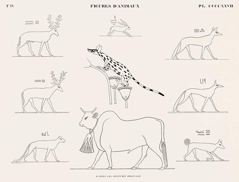 Animal figures from the original paintings from Monuments de l'Égypte et de la Nubie (1835–1845) by Jean…