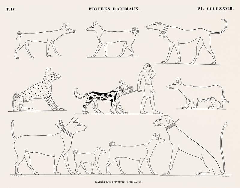 Animal figures from the original paintings from Monuments de l'Égypte et de la Nubie (1835–1845) by Jean…