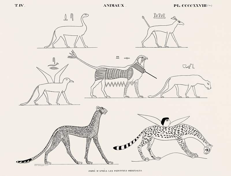 Animals copied from the original paintings from Monuments de l'Égypte et de la Nubie (1835–1845) by Jean…