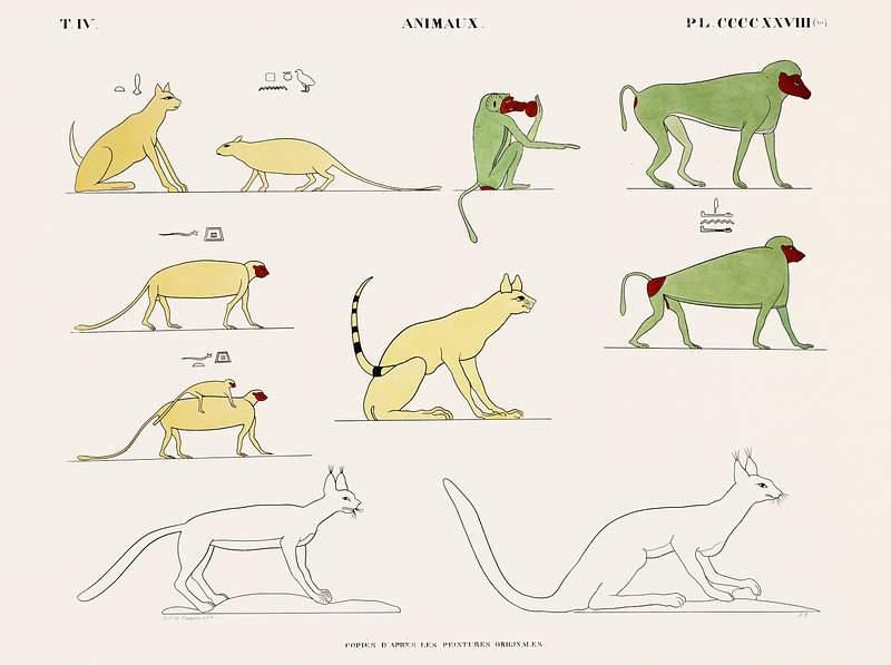 Animals copied from the original paintings from Monuments de l'Égypte et de la Nubie (1835–1845) by Jean…
