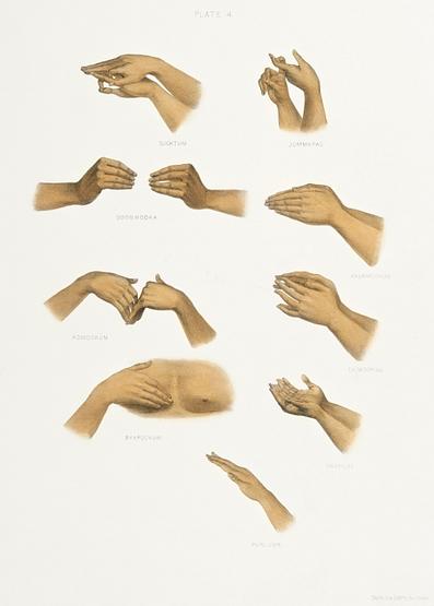 Hand signs from The Sundhya or the Daily Prayers of the Brahmins (1851) by Sophie Charlotte Belnos (1795–1865). Hand signs from The Sundhya or the Daily Prayers of the Brahmins (1851) by Sophie Charlotte Belnos (1795–1865). -…