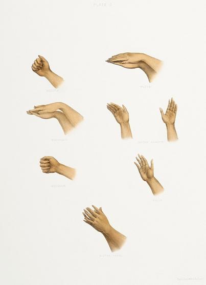 Hand signs from The Sundhya or the Daily Prayers of the Brahmins (1851) by Sophie Charlotte Belnos (1795–1865). Hand signs from The Sundhya or the Daily Prayers of the Brahmins (1851) by Sophie Charlotte Belnos (1795–1865). -…