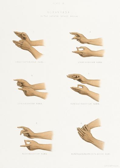 Hand Signs from The Sundhya or the Daily Prayers of the Brahmins (1851) by Sophie Charlotte Belnos (1795–1865). Hand Signs from The Sundhya or the Daily Prayers of the Brahmins (1851) by Sophie Charlotte Belnos (1795–1865). -…