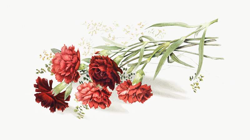 Bouquet of roses from The Miriam and Ira D. Wallach Division Of Art, Prints and Photographs: Picture Collection published by…