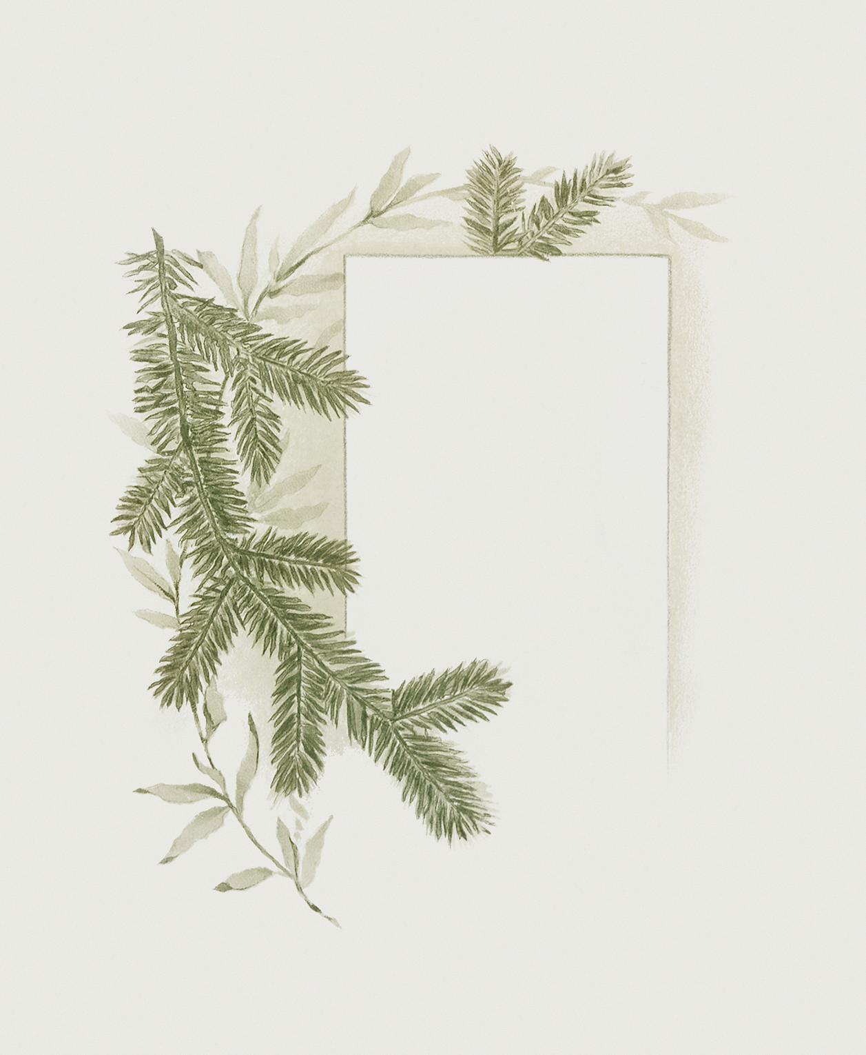 Vintage fern illustration on a Christmas card Ferns on a postcard from The Miriam And Ira D. Wallach Division Of Art, Prints and Photographs: Picture Collection published...