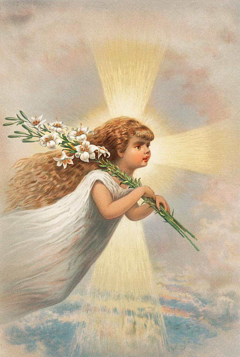 Vintage Christmas card design An angel in the sky holding lilies on her shoulders from The Miriam and Ira D. Wallach Division Of Art, Prints and…
