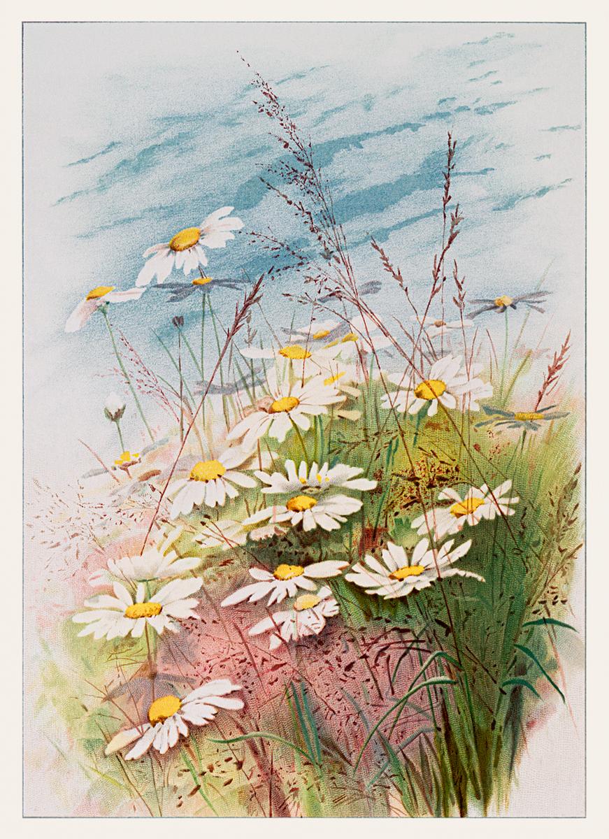 Flower and plants on a birthday card | Free public domain illustration Birthday card depicting flowers and plants (1885) from The Miriam and Ira D. Wallach Division of Art, Prints and Photographs:…
