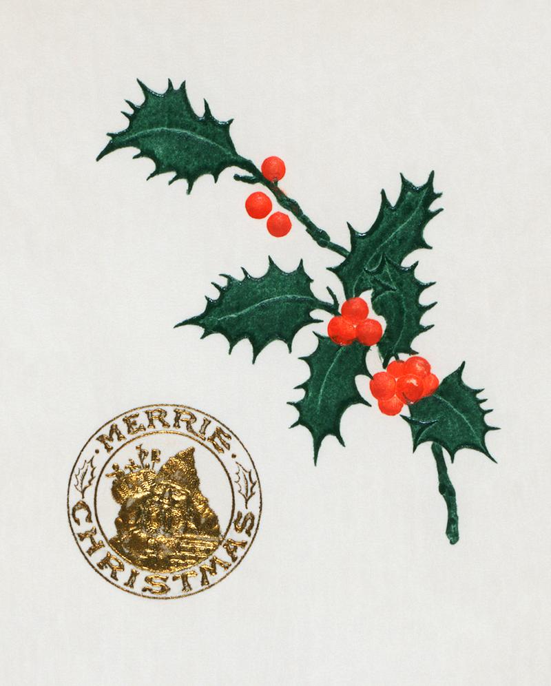 Vintage Christmas holly branch Christmas dinner menu with holly leaves (1899) from The Buttolph collection of menus. Original From The New York Public…