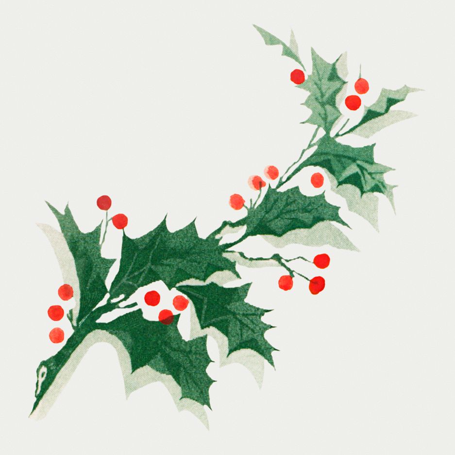 Holly ornament from Christmas dinner | Free Photo - rawpixel