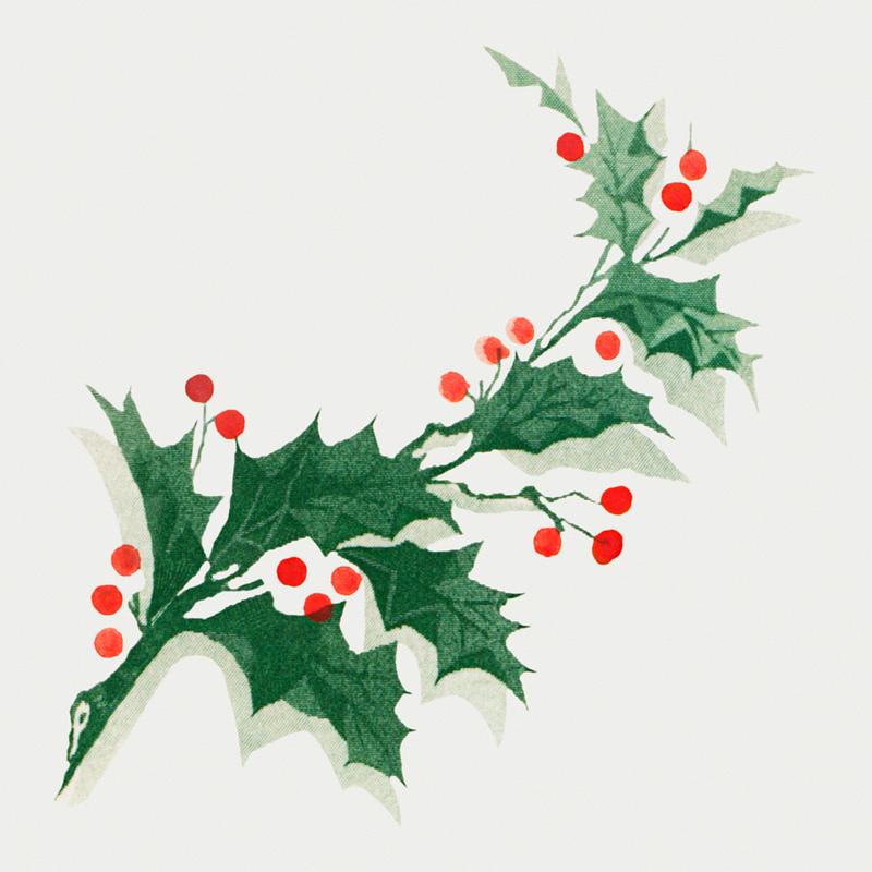 Vintage Christmas holly branch Holly ornament from Christmas dinner held by Logan house at Altoona, PA from (1898) The Buttolph collection of menus.…