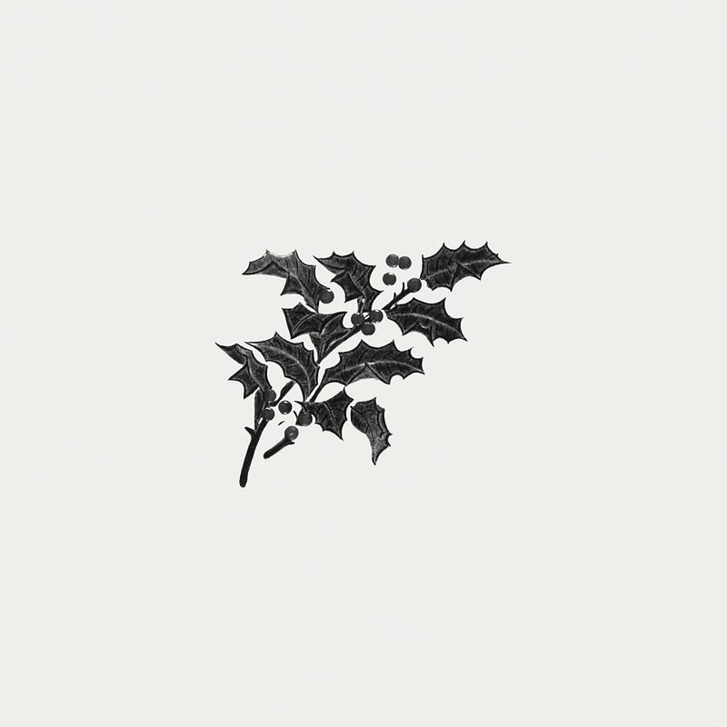 Vintage Christmas holly branch Vintage holly branch illustration for a Christmas card