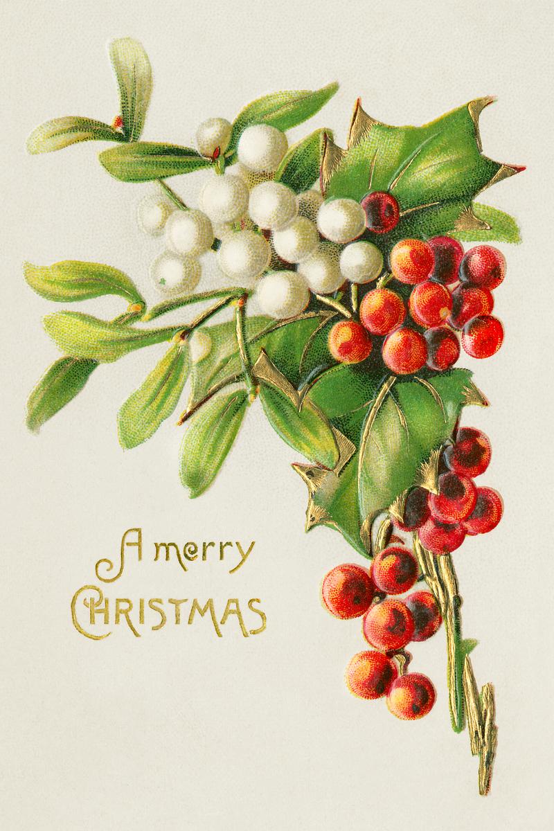 Vintage Christmas card design A Merry Christmas (ca.1900s) from The Miriam and Ira D. Wallach Division of Art, Prints and Photographs: Picture Collection.…