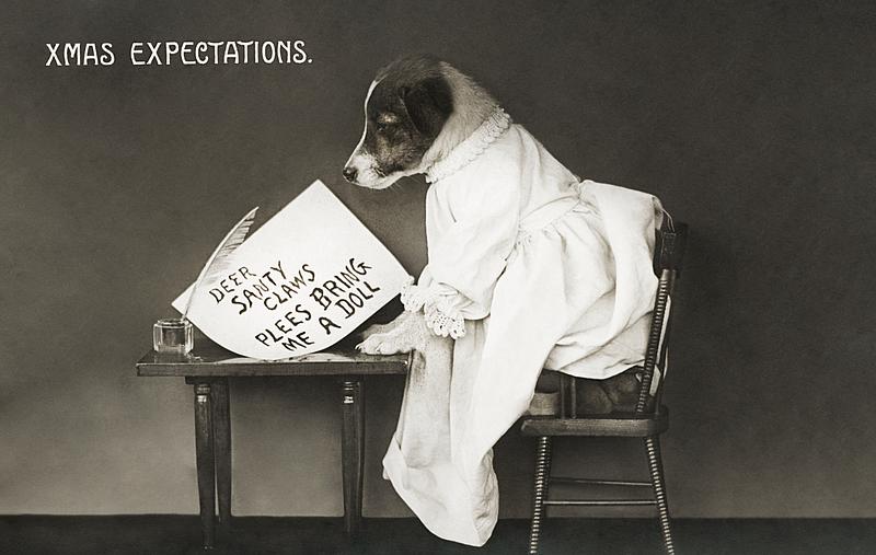 Cute dog on a Christmas postcard Xmas expectations from The Miriam and Ira D. Wallach Division of Art, Prints and Photographs: Picture Collection published by…