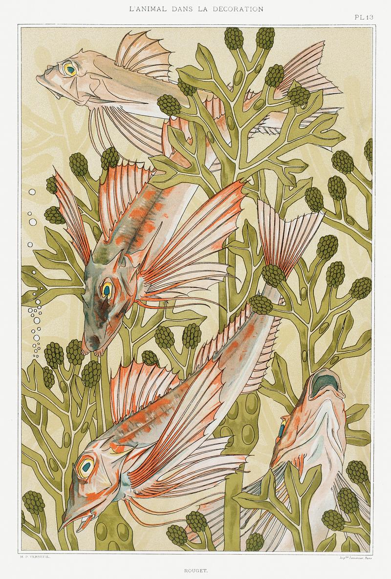 Illustration from L'animal dans la décoration Rouget from L'animal dans la décoration (1897) illustrated by Maurice Pillard Verneuil. Original from the The New York…
