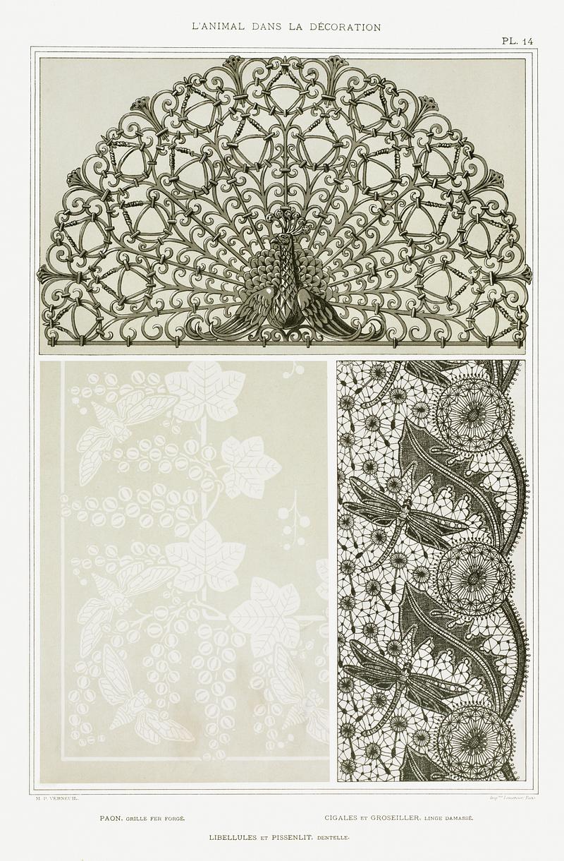 Illustration from L'animal dans la décoration Paon, grille fer forgé. Cigales et groseiller, linge damassé. Libellules et pissenlit, dentelle from L'animal…