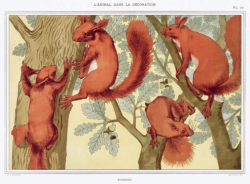 Écureuils from L'animal dans la décoration (1897) illustrated by Maurice Pillard Verneuil. Original from…