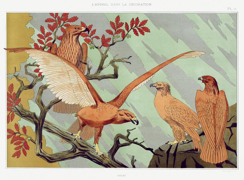 Illustration from L'animal dans la décoration Aigles from L'animal dans la décoration (1897) illustrated by Maurice Pillard Verneuil. Original from the The New York…