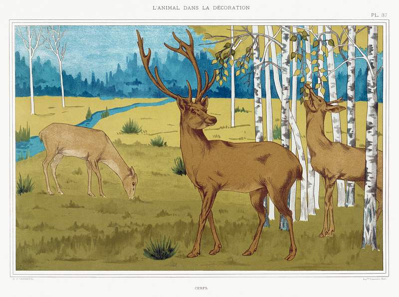 Cerfs from L'animal dans la décoration (1897) illustrated by Maurice Pillard Verneuil. Original from the The New York…